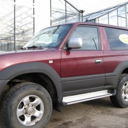 Toyota Prado ()