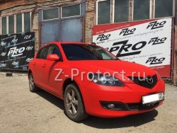 Z-Pro GaragE 