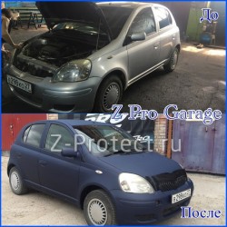 Z-Pro GaragE 